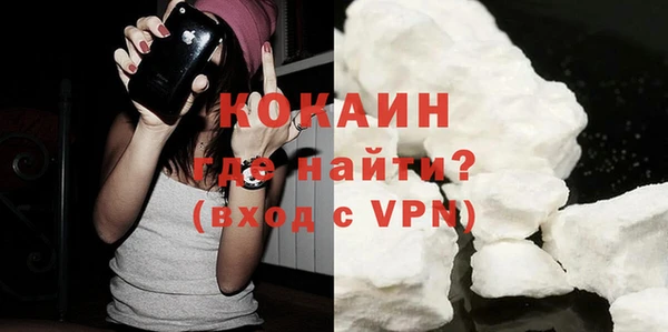 тгк Бикин