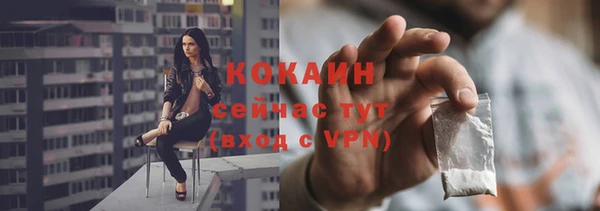 трава Билибино