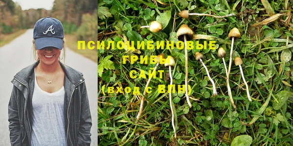 спайс Михайловск