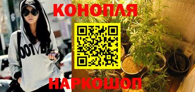 крисы Севастополь