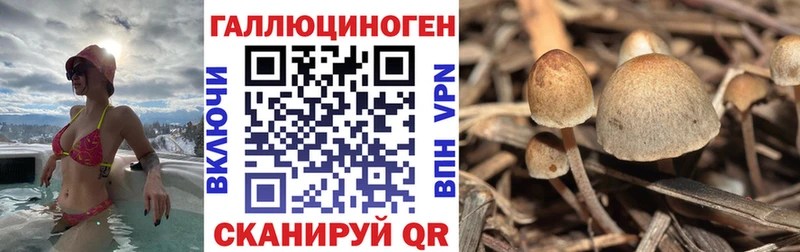 Галлюциногенные грибы Psilocybine cubensis  Снежинск 