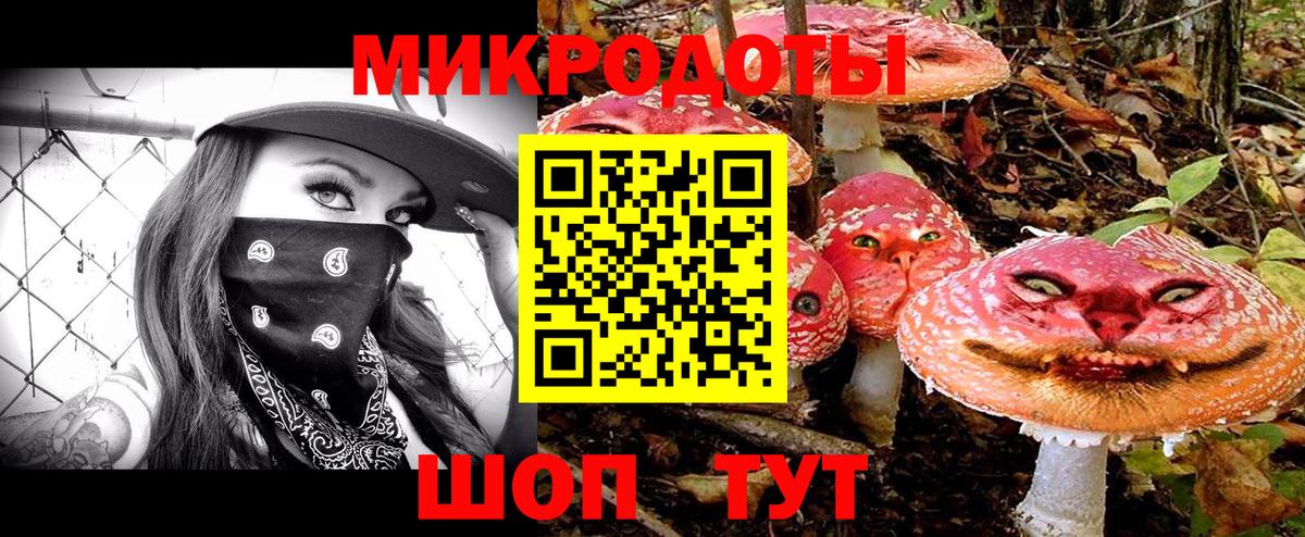 Псилоцибиновые грибы Cubensis Снежинск